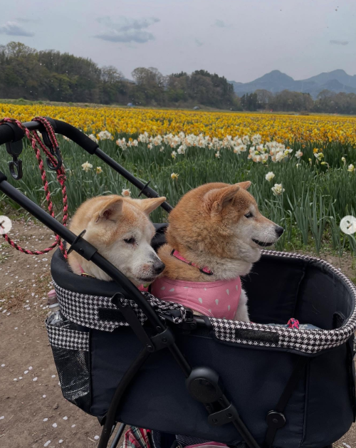 Wako with Riko